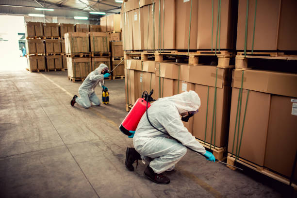 Best Best Pest Control Companies  in Boron, CA