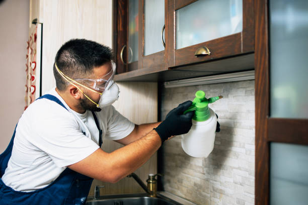 Best Best Pest Control Companies  in Boron, CA