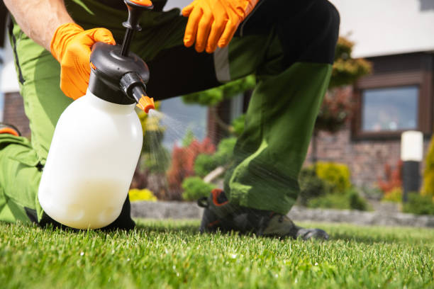 Best Exterminator Services  in Boron, CA