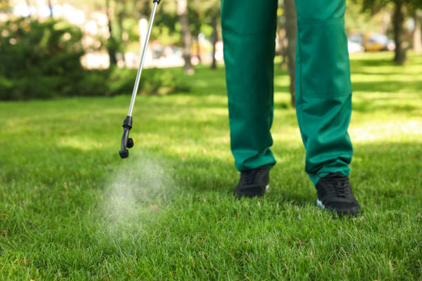 Reliable Boron, CA Pest Control Solutions