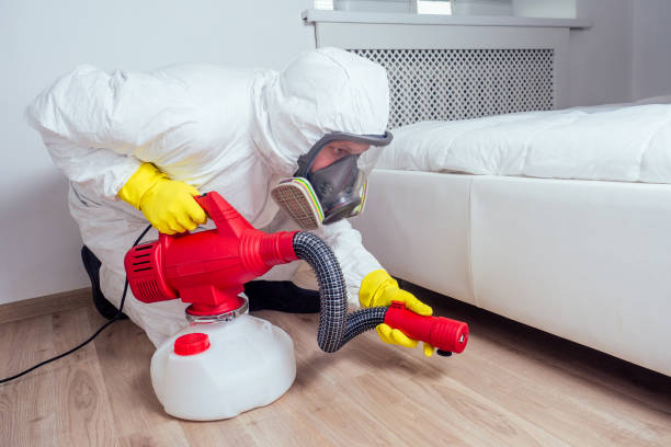 Flea Control Services in Boron, CA