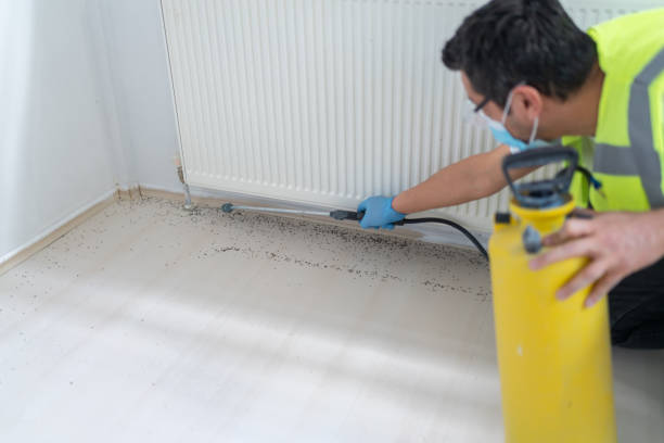 Best Pest Prevention Services  in Boron, CA